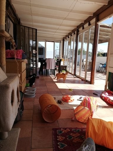 Dining Room / Playroom